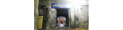 திருப்புலிவனம்